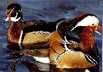 Bild 1:  / Richard Kliche