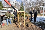 Bild 1: Pflanzung des Amberbaumes mit Fachbereichsleiter Frank Leopold, Landrat Harald Altekrger, Kreistagsvorsitzendem Dr. Torsten Schler und Landheimleiter Dietmar Thron (v.r.n.l.). , Quelle: Landkreis Spree-Neie