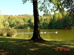 Bild 2: Teil-Ansicht Süd-West / Fr. Hüttner