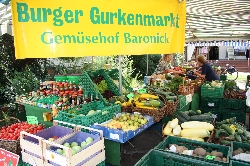 Bild 3: Gemüsehof Baronick / Medienzentrum des Landkreises Spree-Neiße