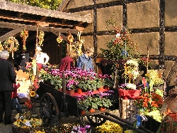 Bild 1: Herbstfest im Niederlausitzer Heidemuseum / Heiner Klick