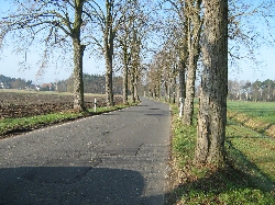 Bild 1: Kreisstraße K 7138 Turnow-Drehnow vor der Baumaßnahme / Fachbereich Bau und Planung