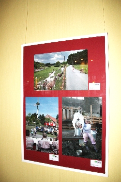 Bild 3: Neue Ausstellung in der Kreishaus-Vitrine / Pressestelle des Landkreises Spree-Neiße