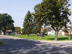 Bild 2: Papitz erreichte bei seiner Wettbewerbspremiere den 2. Platz  und punktete mit seinem in Eigeninitiative entwickleten Dorf- und Gemeinschaftsleben., Quelle: Medienzentrum des Landkreises Spree-Neie