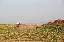 Bild 4: Foto - Ein Bauer bestellt sein Feld im Grenzgebiet zum IS. 