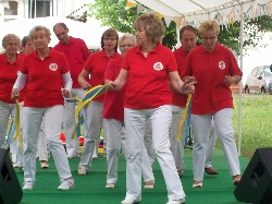 Bild 3: Tanzgruppe der AWO (Arbeiterwohlfahrt) Lbbenau aus Deutschland, Quelle: privat