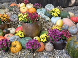 Bild 2: Herbstfest im Niederlausitzer Heidemuseum, Quelle: Eckbert Kwast