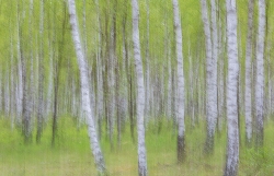 Bild 2: Beispielbild Ausstellung Burdach