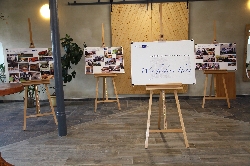 Bild 2: Ausstellung 2