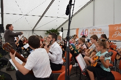 Bild 2: Vielsaitig, Quelle: Musik- und Kunstschule LK SPN 
