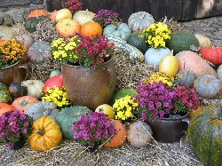 Bild 1: Herbstliche Dekoration beim 18. Herbstfest in Spremberg/Grodk, Quelle: Landkreis Spree-Neie/Wokrejs Sprjewja-Nysa