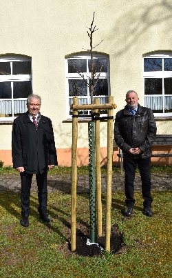 Bild 1: Pflanzung eines neuen Apfelbaumes auf dem Gelnde des Schullandheimes mit Landrat Harald Altekrger (l.) und Leiter Dietmar Thron (r.). , Quelle: Landkreis Spree-Neie/Wokrejs Sprjewja-Nysa