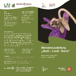 Bild 2: Broschre Bienenausstellung Seite 1, Quelle: Landesamt fr Umwelt