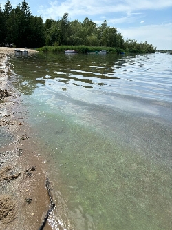 Bild 2: Blaualgen_2, Quelle: Landkreis Spree-Neie/Wokrejs Sprjewja-Nysa 