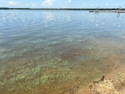 Bild 3: Blaualgen_3, Quelle: Landkreis Spree-Neie/Wokrejs Sprjewja-Nysa 