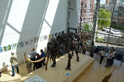 Bild 2: Die Mitglieder des Kreisseniorenbeirates betrachten die Ausstellung , Quelle: Pressestelle Landkreis Spree-Neie/Wokrejs Sprjewja-Nysa