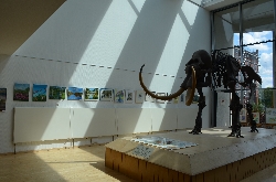 Bild 1: Die Kunstausstellung des Malzirkels Branitz im Foyer, Quelle: Pressestelle Landkreis Spree-Neie/Wokrejs Sprjewja-Nysa