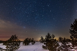 Bild 2: Sternenhimmel am Sukzessionspark Aussicht Wildnis in der Naturwelt Lieberoser Heide, Quelle: Stiftung Naturlandschaften Brandenburg