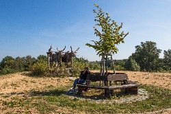 Bild 1: Spreeaue Dissen, Quelle: Fotograf: Peter Becker, Lizenz: Landkreis Spree-Nei�e
