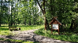 Bild 1: Fontaneweg in Burg (Spreewald), Quelle: Fotograf: Ron Petra�, Lizenz: Amt Burg (Spreewad)