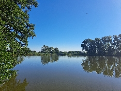 Bild 1: Mulknitzer Teich, Quelle: Fotograf Diana Priel Lizenz: Stadt Forst (Lausitz)