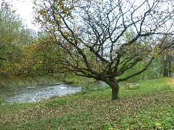 Die Neisse im Bereich Guben; Quelle: Landkreis Spree-Neie/Wokrejs Sprjewja-Nysa, Untere Wasserbehrde