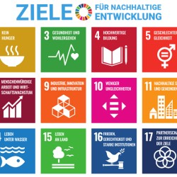 17 Ziele f�r Nachhaltige Entwicklung / Quelle: Von UNDP (United Nations Development Programme) - https://unric.org