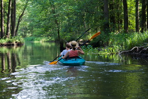 Paddeln im Spreewald